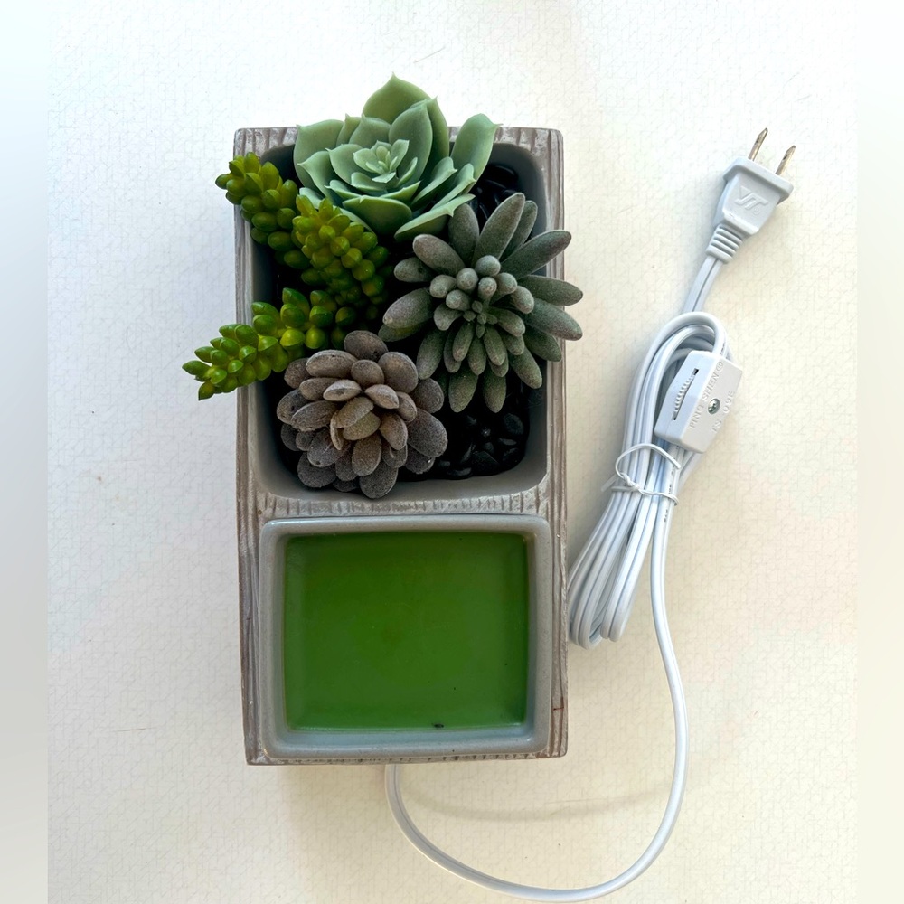 Succulent Scentsy Warmer